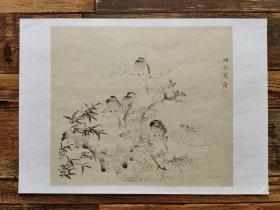 日本回流 日本著名画家 中林竹洞《枯木寒禽图画稿》 （印刷）纸本软片