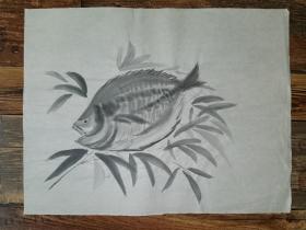日本回流 日本画 《鱼画稿》 （手绘）纸本软片1