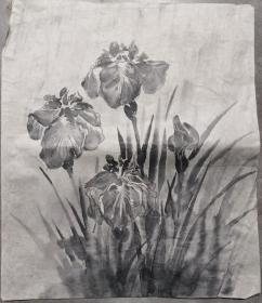 日本回流  《水墨鸢尾花》（手绘）纸本1