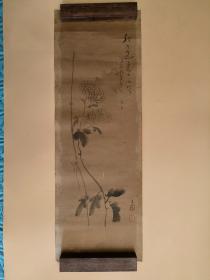 日本回流  《菊花（秋）》 （手绘）纸本托片