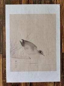 日本回流 日本著名画家 川端玉章《水鸟图》 （印刷）纸本软片