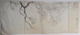 日本回流 日本画 《樱花图画稿》（手绘）纸本软片