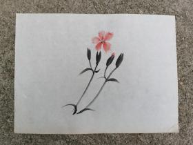 日本回流 日本画《水墨小花图 》 （手绘）纸本软片