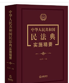中华人民共和国民法典实施精要3B23z