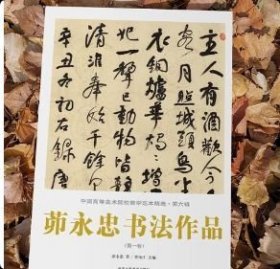 正版 中国高等美术院校教学范本精选·第六辑 茆永忠书法作品（共三卷）9787514025224北京工艺美术出版社