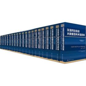 大数据百科术语辞典汉外对照系列丛书（20册）
