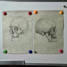 70年代末素描速写画稿原稿《人头骨结构》2张（8开，其中一张有签名）