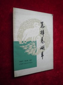 怎样养湖羊