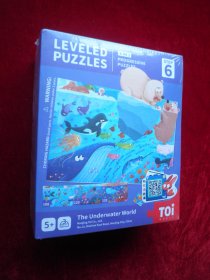 （3IN1）LEVELED PUZZLES Aerospace（6）