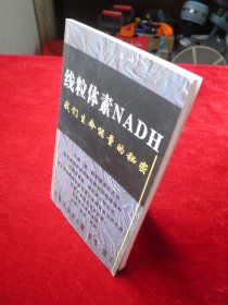 线粒体素NADH 我们生命能量的秘密