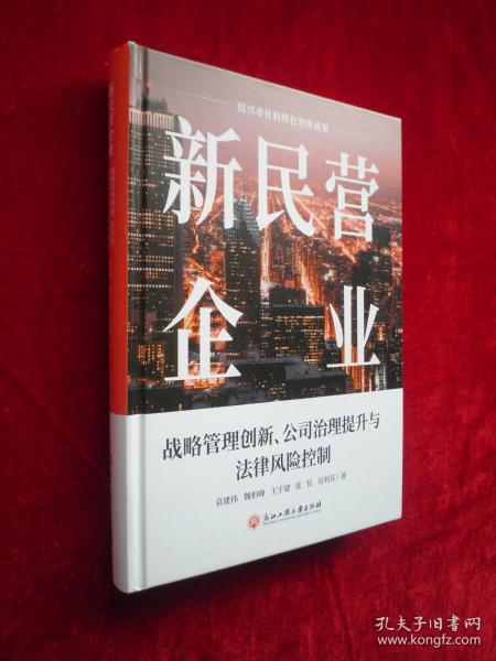 新民营企业：战略管理创新、公司治理提升与法律风险控制