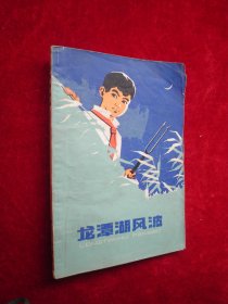 龙潭湖风波