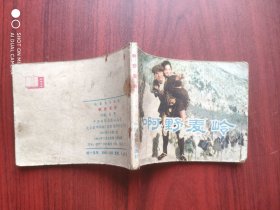 啊野麦岭，日本电影，连环画