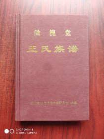 滋槐堂 王氏族谱（精装本）王氏宗谱，家谱，家史，王氏族谱，中江文史