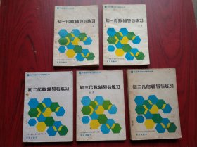 中学理科学习指导，初中代数，初中几何，共5本，1983年1版1印，初中数学辅导，有答案