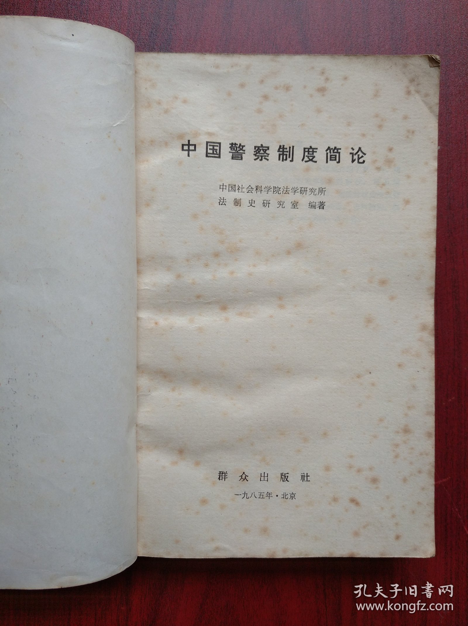 中国警察制度简论