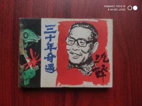 三十年奇遇，沈醉，连环画