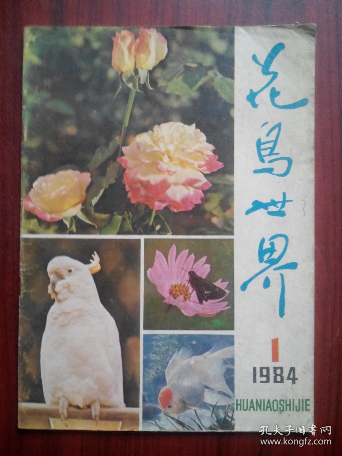 花鸟世界，创刊号，1984.1