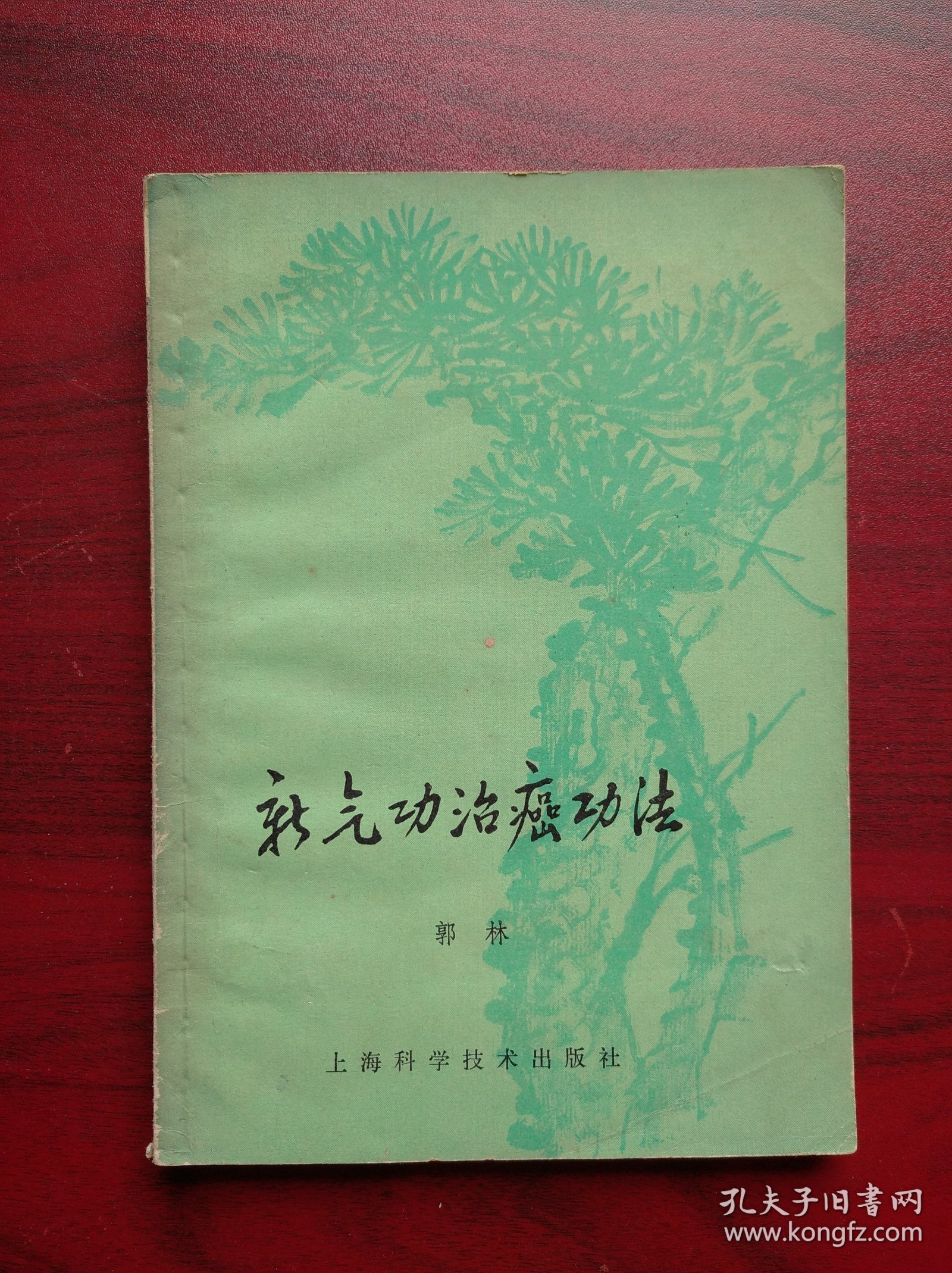新气功治癌功法，气功，癌