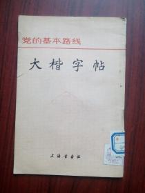 大楷 字帖，党的基本路线，书法，字帖，写字，