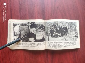 啊野麦岭，日本电影，连环画