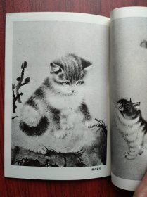 怎样画猫， 作者: 曹克家，美术，绘画，