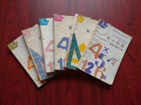 中学理科学习指导，初中代数，初中几何，全套6本，1984-1985年1版1印，初中数学辅导，有答案