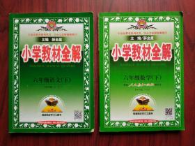 小学教材全解，六年级 语文 下册，六年级 数学 下册，2021年印刷，小学语文辅导，小学数学辅导，有答案