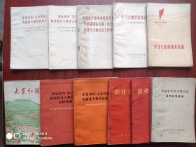 大寨红旗，农业学大寨，农村，大寨，农业，共11本合售