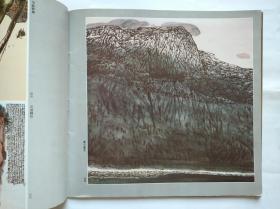 中国艺术 西南艺术家，作者:  刘璞、张自启、巫成金、张华英 等，油画 国画 画册