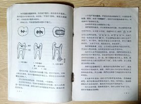 牙齿和健康 （插图本）