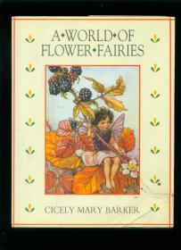 A WORLD FLOWER FAIRIES 花仙子系列（相当于16开精装本，25.4*19.6cm）彩色插图