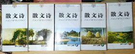 散文诗 2011 上半月 5、7、9、10、11（共五册一起售）相当于小32开