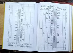 （新化、冷水江等地）三槐楚南上梅王氏明远公曾孙子选房家谱世系名录（16开精装本）