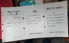 70年代湖南省邵阳市新邵县暂缓上山下乡通知书（空白）三联完好