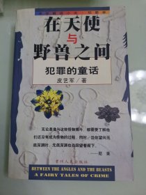 在天使与野兽之间-犯罪的童话