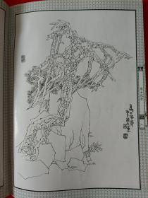 青松白描画谱  一版一印