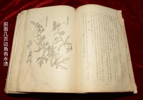 日文1944年原版《满洲汉药性状与应用》