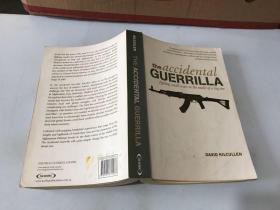 the accidental guerrilla