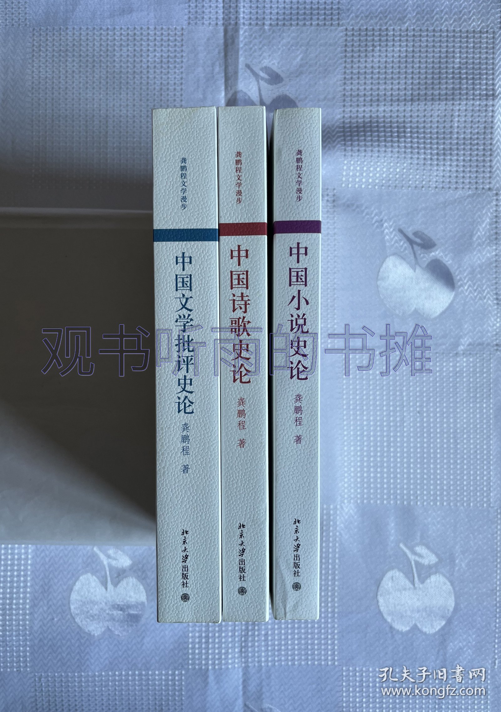 龚鹏程文学漫步：中国诗歌史论、中国文学批评史论、中国小说史论（共3册）（一版一印）1印