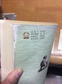 南京稀见文献丛刊 新南京  外顶