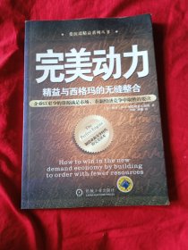 完美动力 ：精益与西格玛的无缝整合 （企业以更少的资源满足市场，在新经济竞争中取胜的要诀）