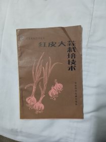 红皮大蒜栽培技术