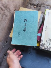 牡丹亭（中国古典文学读本丛书）