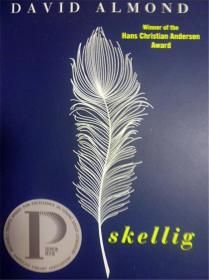 英文原版   普林兹文学奖小说  中小学生课外兴趣阅读    Skellig  当天使坠落人间