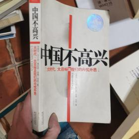 中国不高兴：大时代大目标及我们的内忧外患