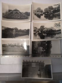 【民国黑白老照片原件】上海中山公园（杰西菲尔德公园、兆丰公园）风景及单人照 7张