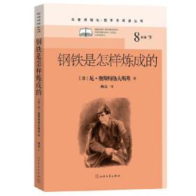 钢铁是怎样炼成的（八年级上、名著课程化、整本书阅读丛书）