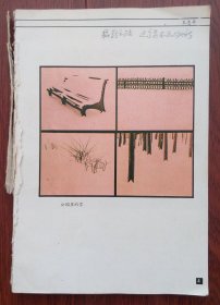 摄影之路连续内彩页