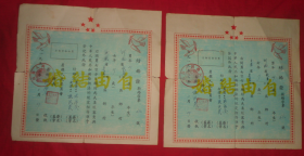 1955年   和平鸽图案      自由结婚证 一对